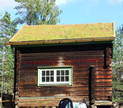 galleri7-STB Sedumtak på litet hus