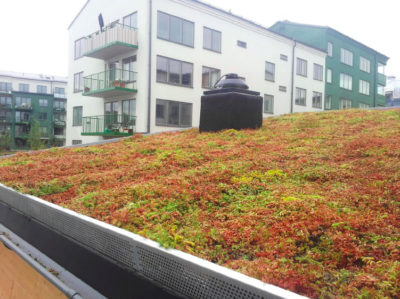 galleri8-STB Sedumtak i bostadsområde